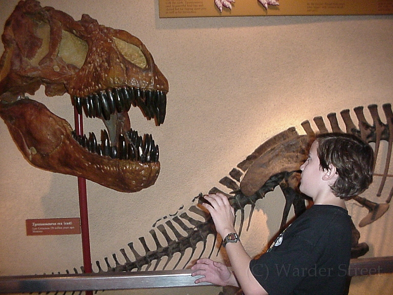 Griffin With TRex.jpg